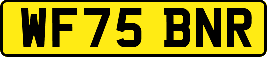WF75BNR