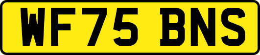 WF75BNS