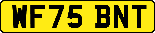 WF75BNT
