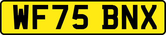 WF75BNX