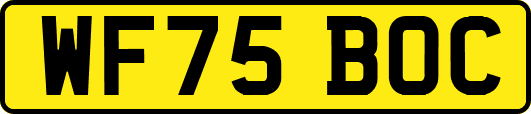 WF75BOC