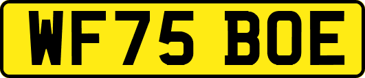 WF75BOE