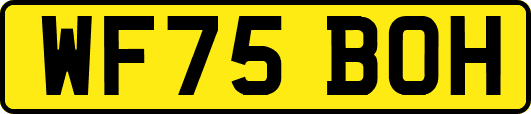 WF75BOH