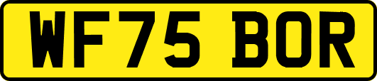 WF75BOR