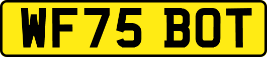 WF75BOT