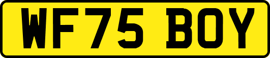 WF75BOY