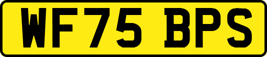 WF75BPS