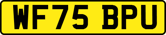 WF75BPU