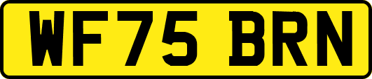 WF75BRN