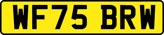 WF75BRW