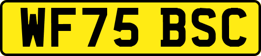 WF75BSC