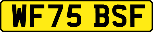 WF75BSF