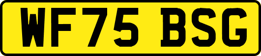 WF75BSG