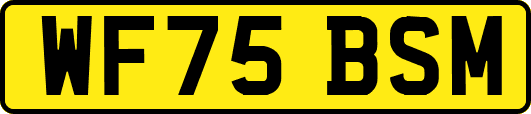 WF75BSM