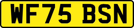 WF75BSN