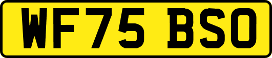 WF75BSO