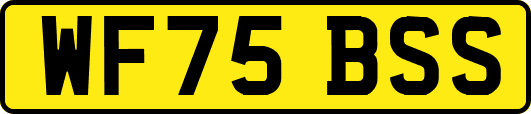 WF75BSS