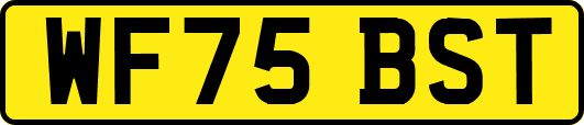 WF75BST