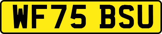 WF75BSU