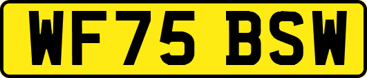 WF75BSW