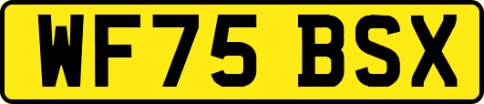 WF75BSX