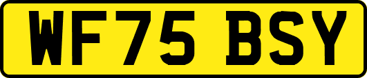 WF75BSY