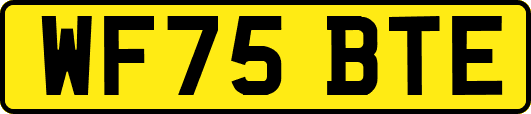 WF75BTE