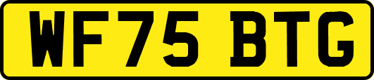 WF75BTG