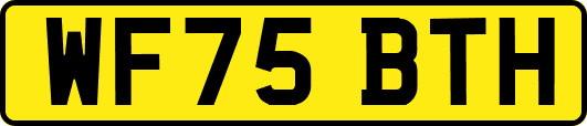 WF75BTH