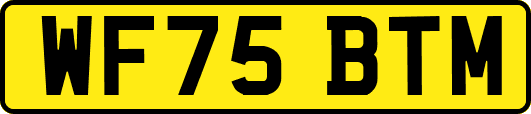 WF75BTM
