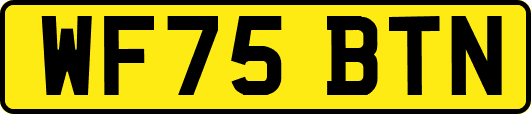 WF75BTN