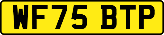 WF75BTP