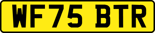 WF75BTR
