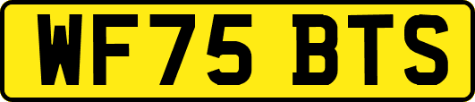 WF75BTS