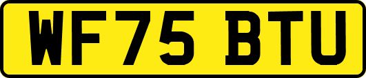 WF75BTU