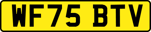 WF75BTV