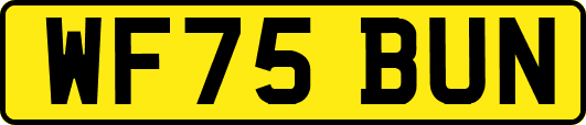 WF75BUN