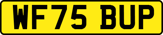 WF75BUP