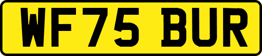 WF75BUR