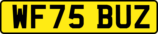 WF75BUZ