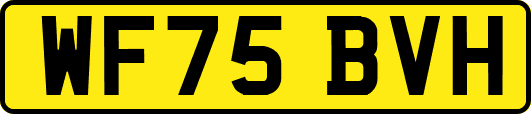 WF75BVH