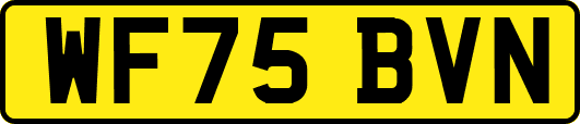 WF75BVN