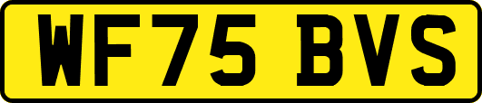 WF75BVS