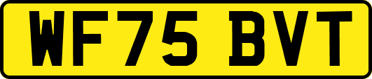 WF75BVT