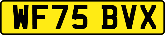 WF75BVX