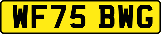 WF75BWG