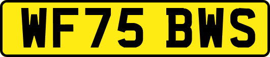 WF75BWS