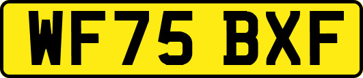 WF75BXF