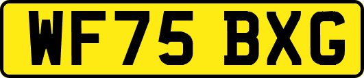 WF75BXG