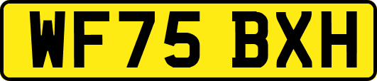 WF75BXH